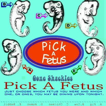 Album cover parody of Bone to Pick by Gone Jackals